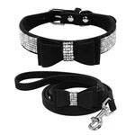 Collier et Laisse en Cuir avec Strass - Allomarc.com