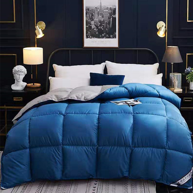 Duvet en Plume d'Oie pour l'Hiver – Confort et Chaleur