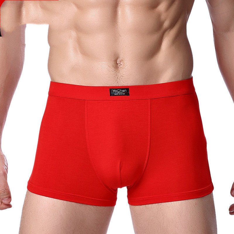 Boxer - Culottes pour Hommes en Fibre de Bambou Modal - Allomarc.com