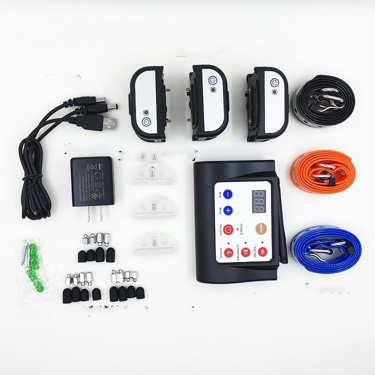 Dispositif de dressage pour chien 2 en 1 - Allomarc.com