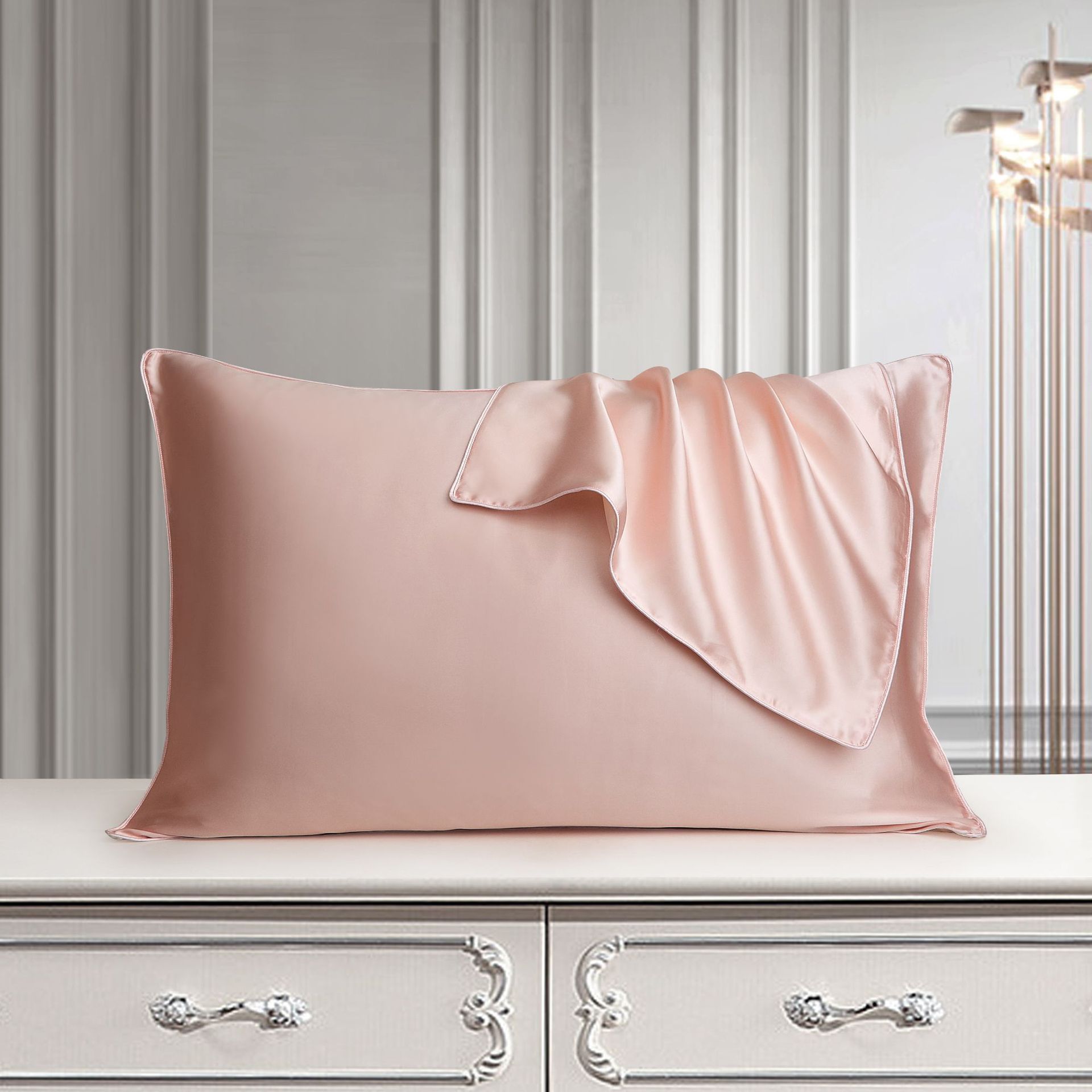 Housse de Coussin en Soie Pure