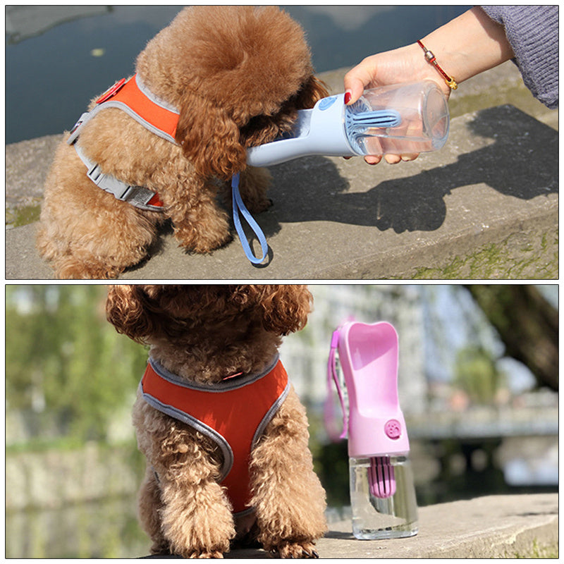 Bouteille d'Eau Portable pour Chiens et Chats