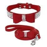 Collier et Laisse en Cuir avec Strass - Allomarc.com