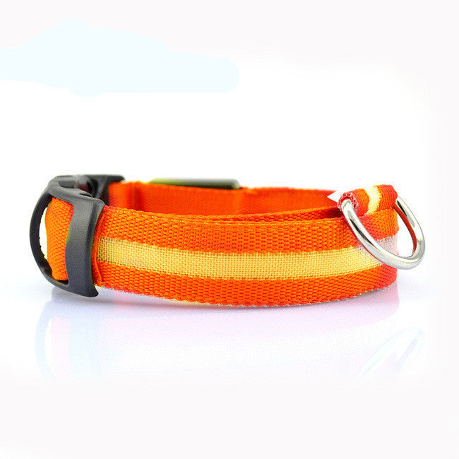 Collier LED de Sécurité pour Chien