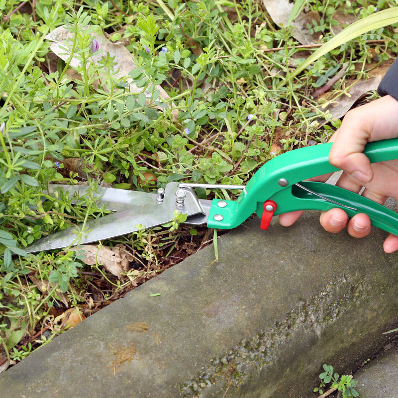 Ensemble de dix outils de jardinage