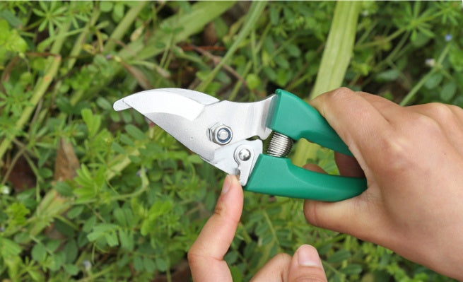Ensemble de dix outils de jardinage