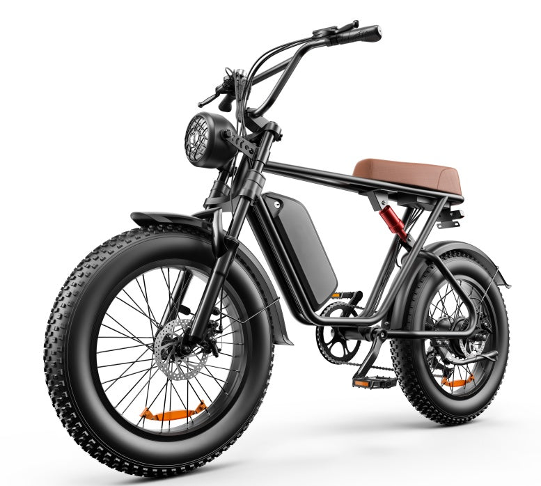Vélo Électrique C91 de 20 Pouces - 20A & 17.5A