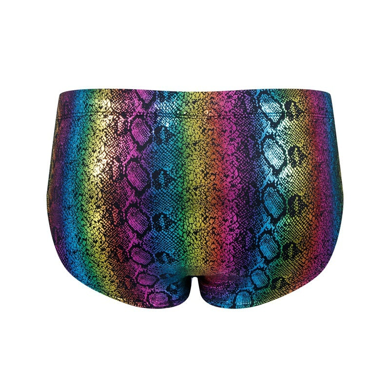 Maillots de bain pour hommes Serpentine Rainbow
