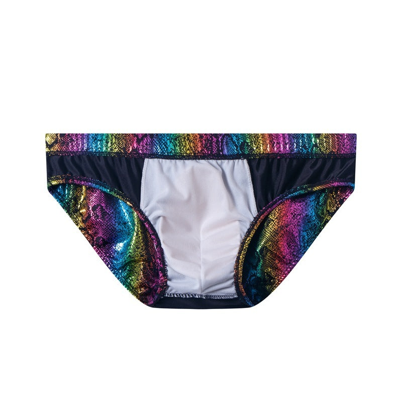 Maillots de bain pour hommes Serpentine Rainbow