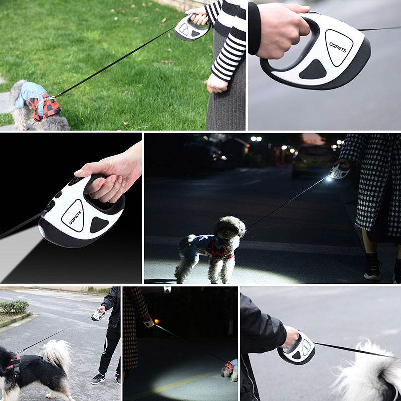 Laisse Rétractable Automatique pour Chien avec LED - Allomarc.com