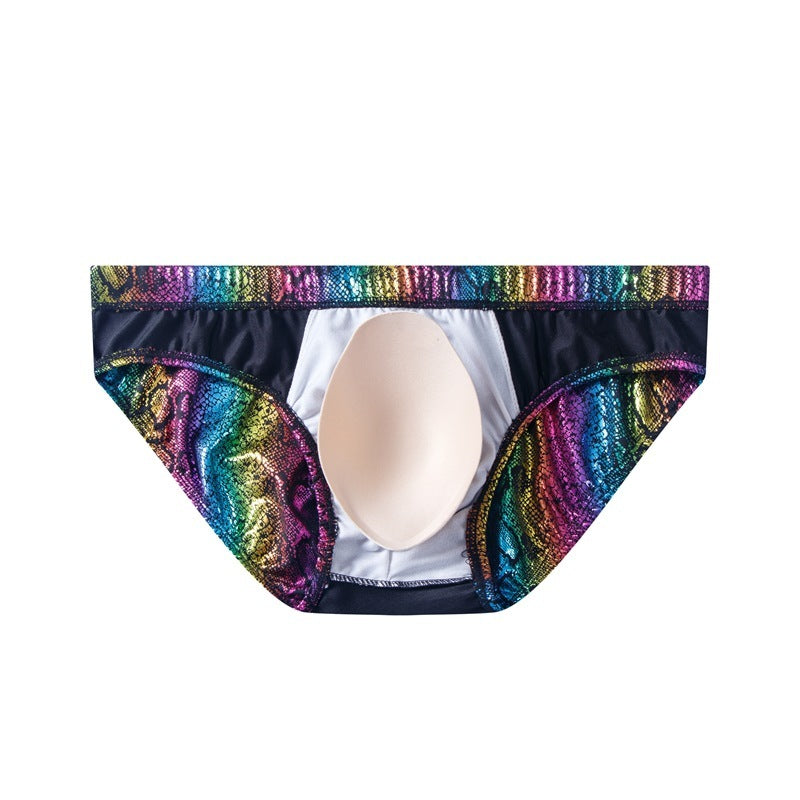 Maillots de bain pour hommes Serpentine Rainbow