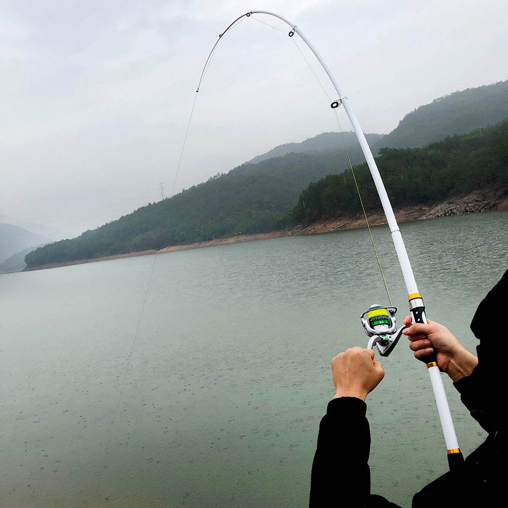 Canne à Pêche Télescopique en Fibre de Carbone 2.1M - 3.6M - Allomarc.com