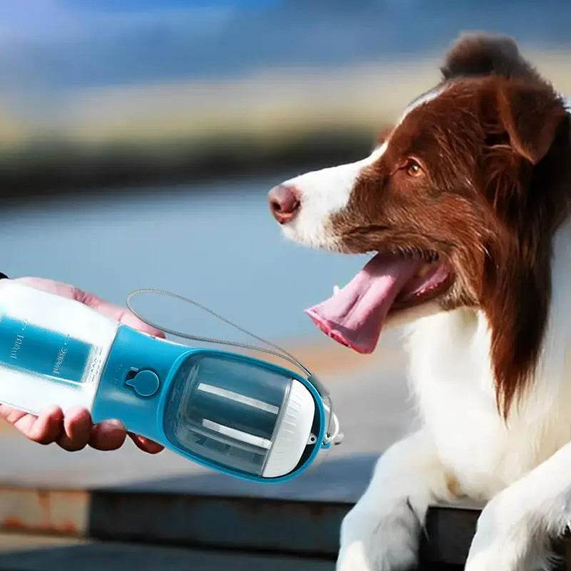 Gobelet d'eau pour chien 3-en-1 - Allomarc.com