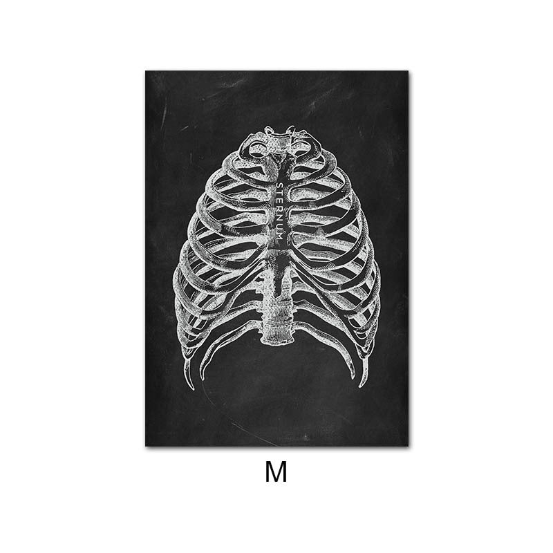 Peinture sur Toile de l'Anatomie Humaine
