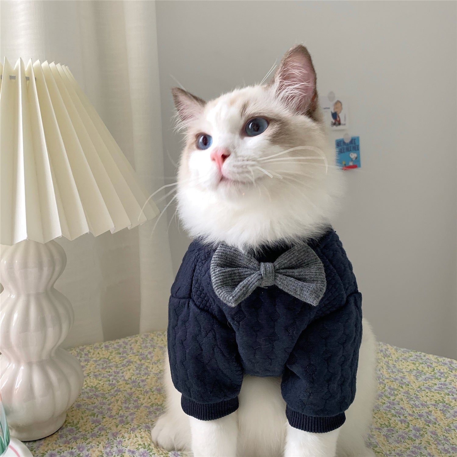 Vêtements Chaleureux et Mignons pour les Pattes de Votre Animal