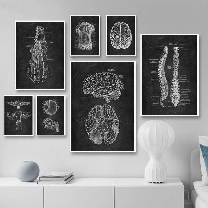 Peinture sur Toile de l'Anatomie Humaine