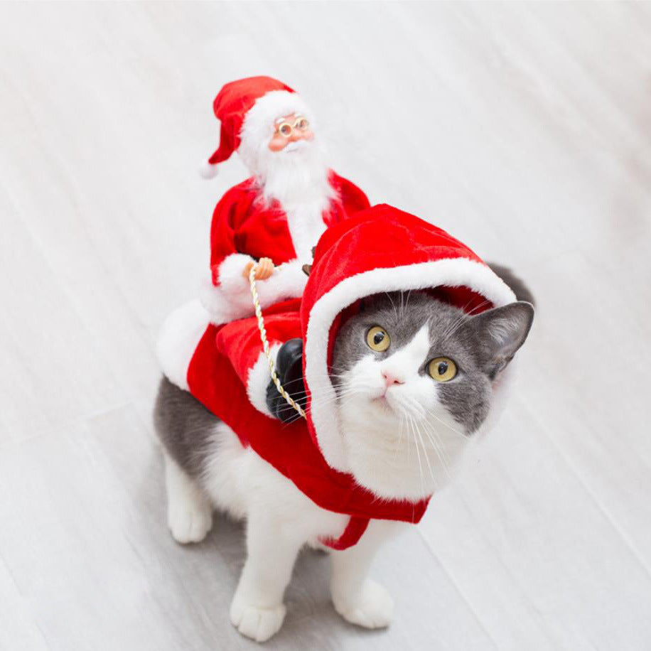 Costume de Noël pour Chien - Elfe Vert