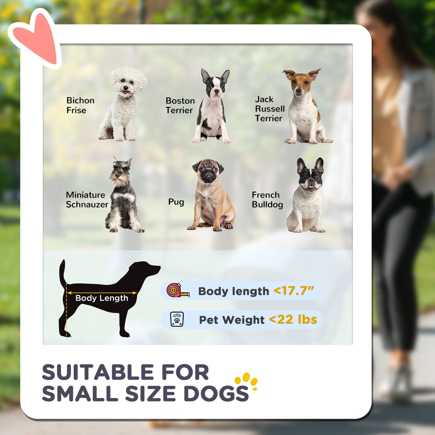 Poussette 3 en 1 pour Chiens avec Cabine Détachable - Poussette Légère Pliable pour Petits Chiens, Grise