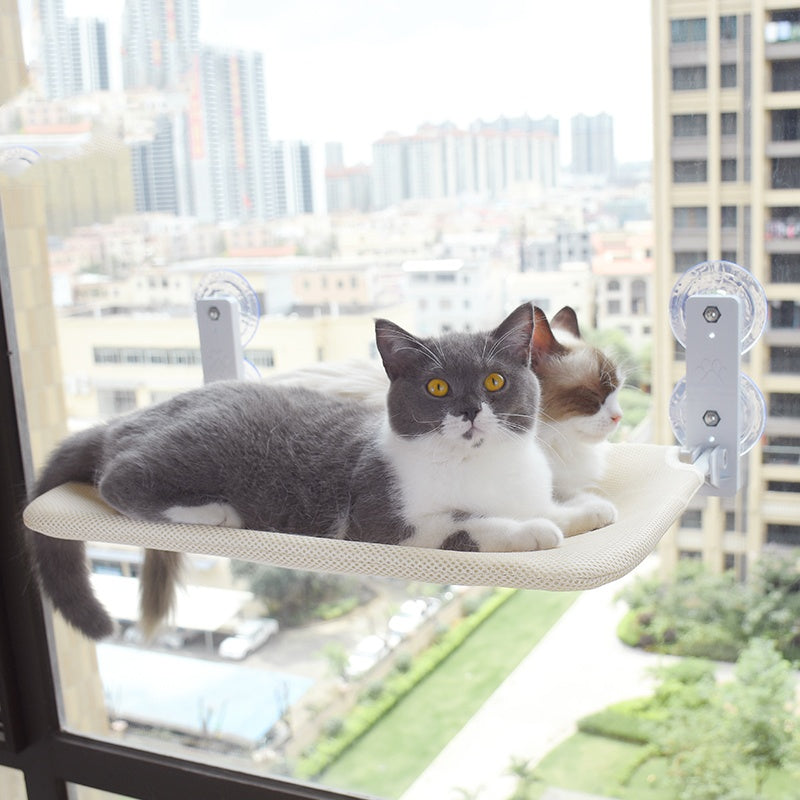 Hamac de Fenêtre avec Ventouse pour Chats - Confort et Style