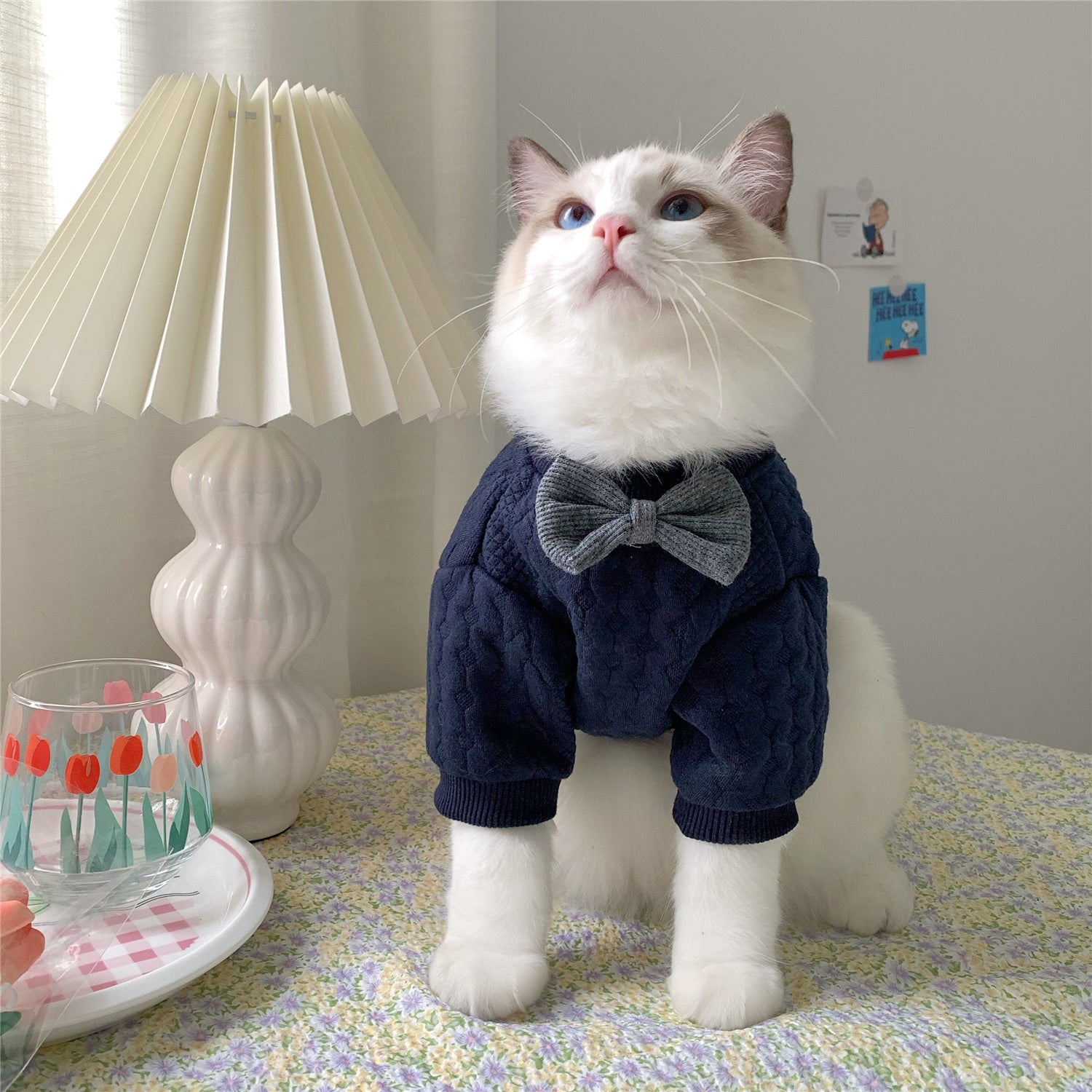 Vêtements Chaleureux et Mignons pour les Pattes de Votre Animal