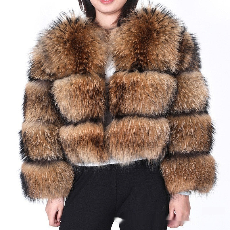 Manteau en Fourrure de Raton Laveur pour Femmes