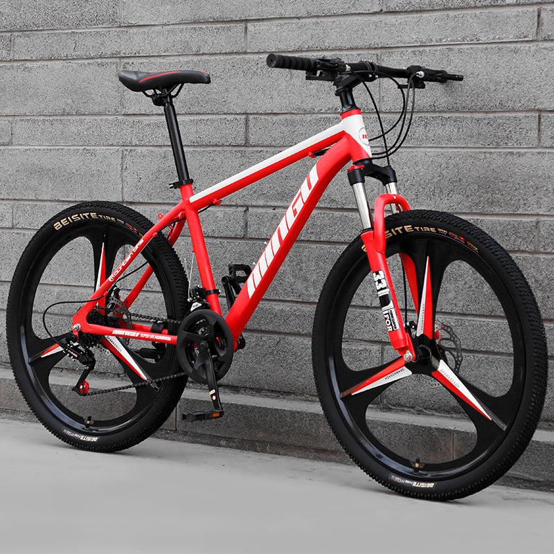 Vélo de montagne 24/26 pouces avec frein à disque et absorption de chocs