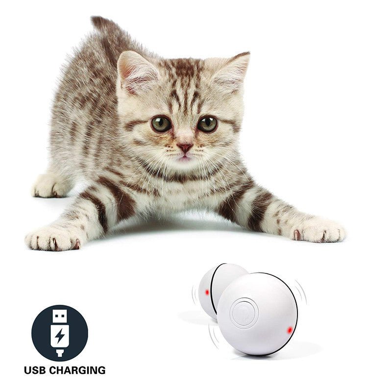 Balle de Jeu Électronique à Laser LED pour Chats - Jouet Amusant - Allomarc.com