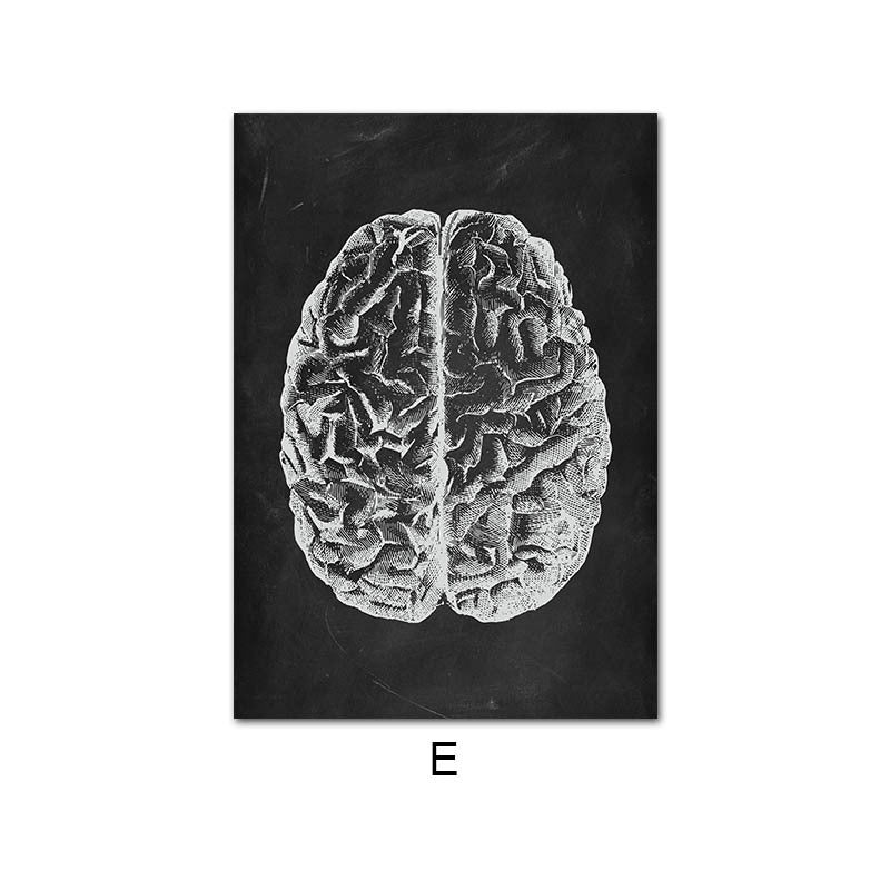 Peinture sur Toile de l'Anatomie Humaine