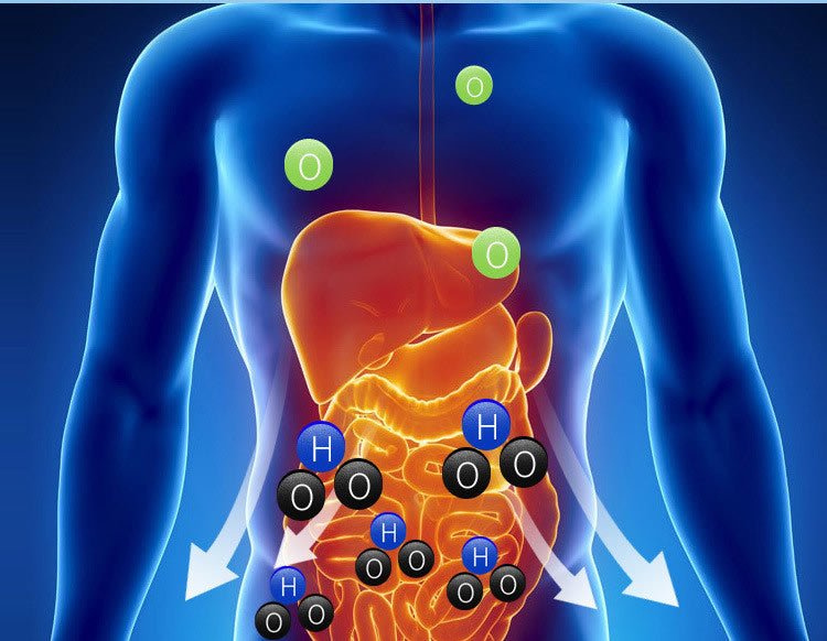 Bouteille d'Eau Ionisée Portable Hydrogène - Allomarc.com