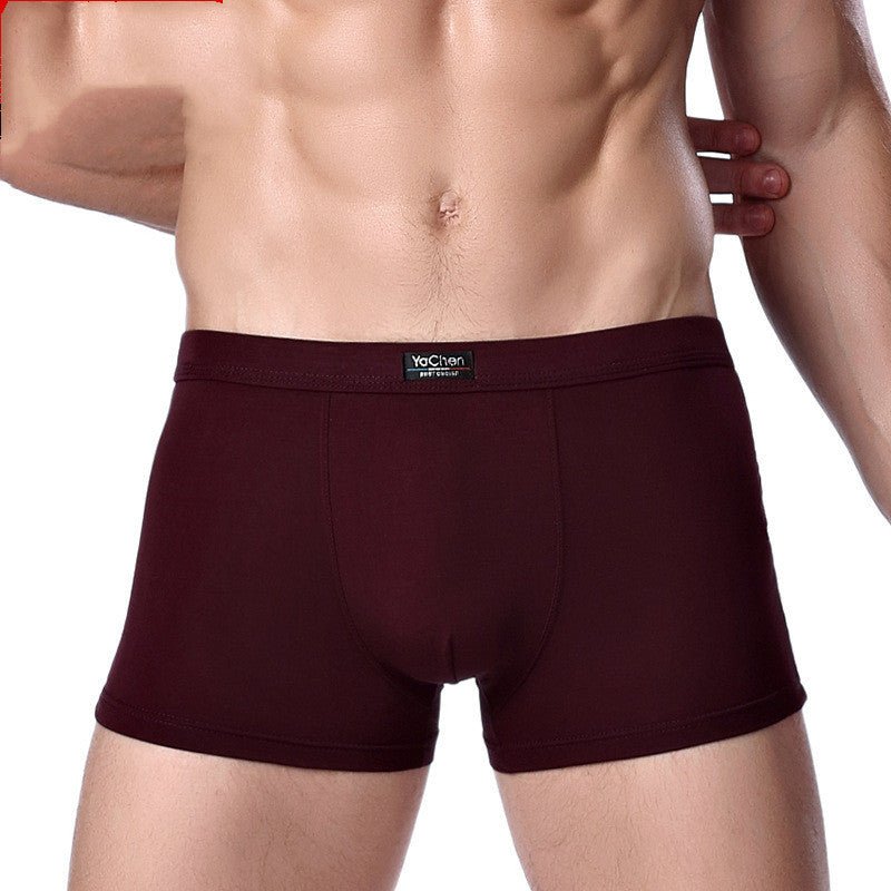Boxer - Culottes pour Hommes en Fibre de Bambou Modal - Allomarc.com