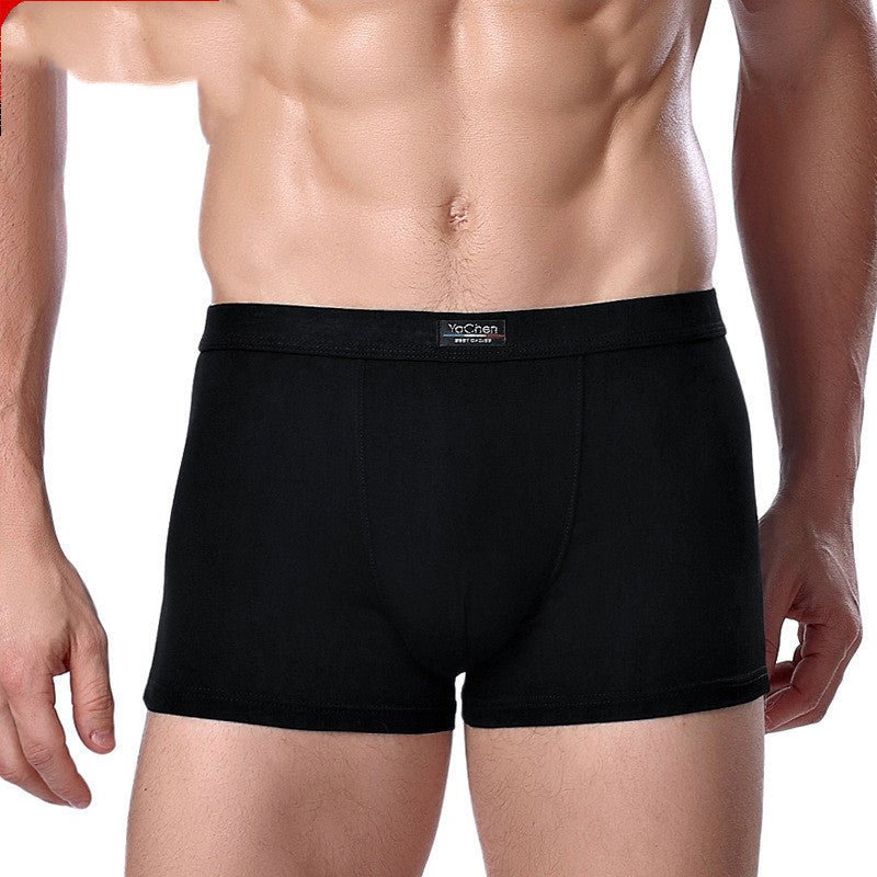 Boxer - Culottes pour Hommes en Fibre de Bambou Modal - Allomarc.com