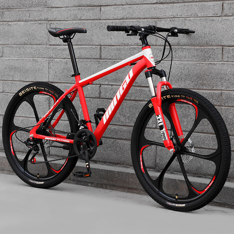 Vélo de montagne 24/26 pouces avec frein à disque et absorption de chocs