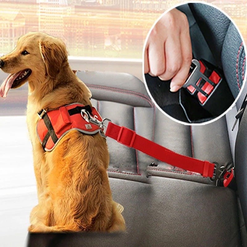 Ceinture de Sécurité Ajustable pour Animaux de Compagnie - Harnais de Voiture pour Chiens et Chats - Allomarc.com