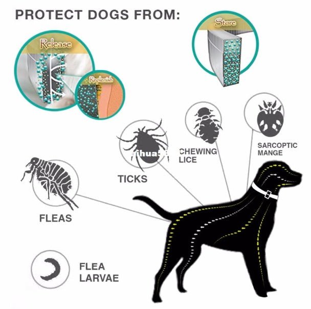 Collier Anti - Puces et Anti - Tiques Premium - Allomarc.com