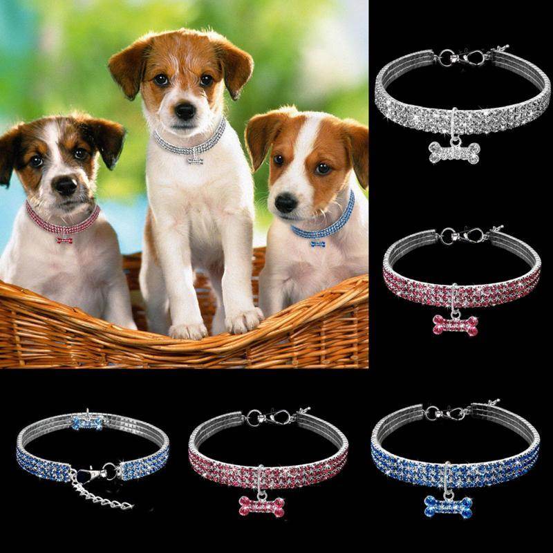 Collier Bling en Strass pour Chiens et Chats - Allomarc.com