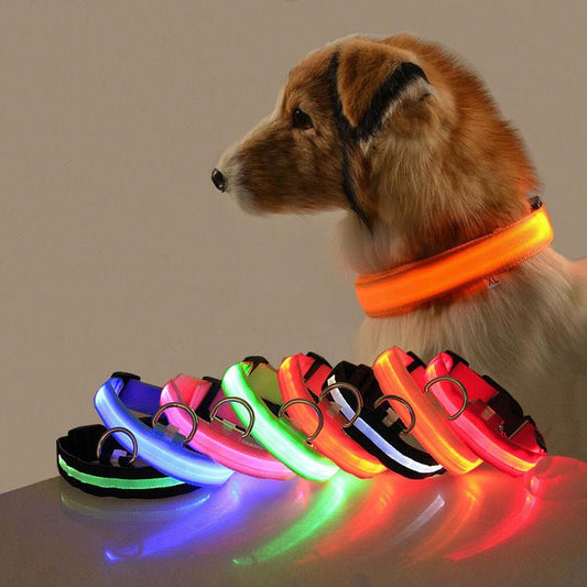 Collier LED de Sécurité pour Chien - Allomarc.com
