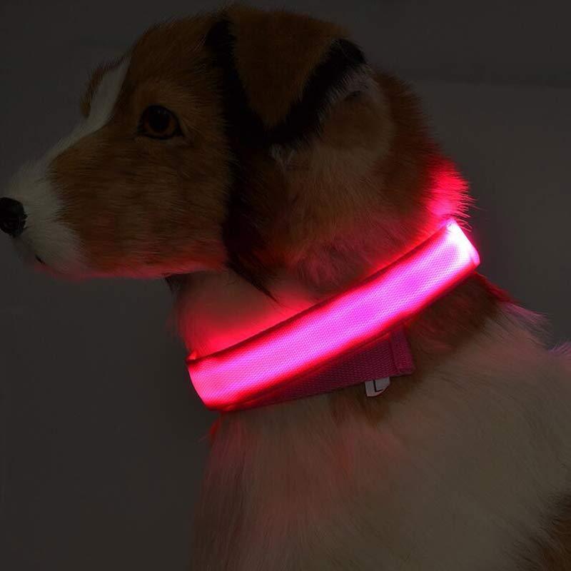 Collier Lumineux LED en Nylon pour Animaux de Compagnie - Sécurité Nocturne - Allomarc.com