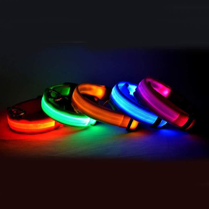 Collier Lumineux LED en Nylon pour Animaux de Compagnie - Sécurité Nocturne - Allomarc.com