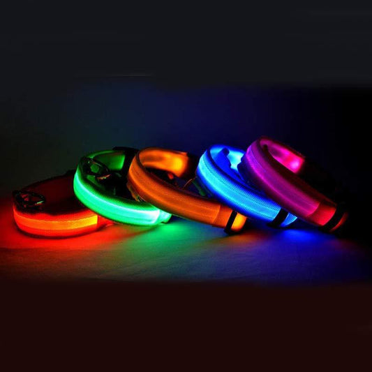Collier Lumineux LED en Nylon pour Animaux de Compagnie - Sécurité Nocturne - Allomarc.com