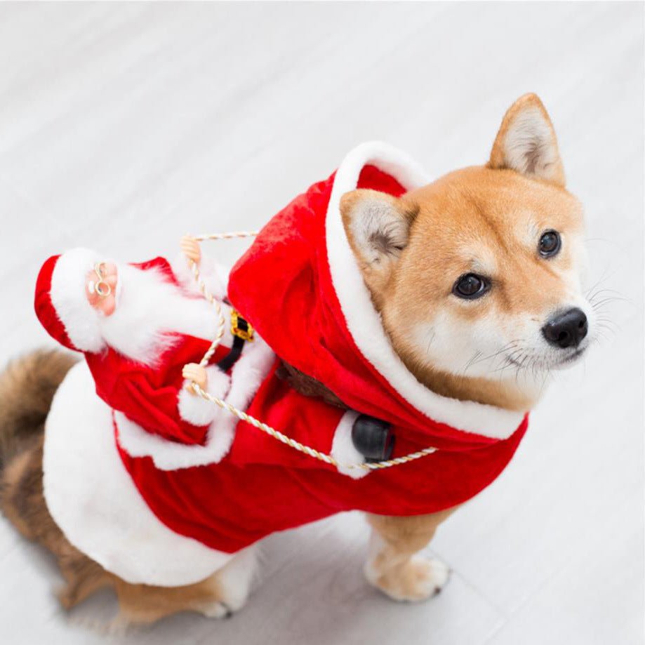 Costume de Noël pour Chien - Elfe Vert - Allomarc.com