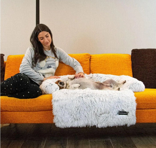 Coussin de Sofa pour Animaux avec Couverture Intégrée - Allomarc.com