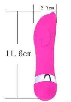 Dildo Mini Réaliste pour Femmes - Allomarc.com