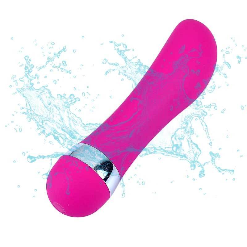 Dildo Mini Réaliste pour Femmes - Allomarc.com