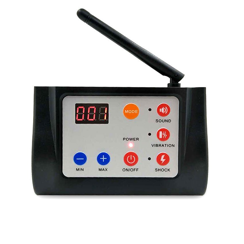 Dispositif de dressage pour chien 2 en 1 - Allomarc.com