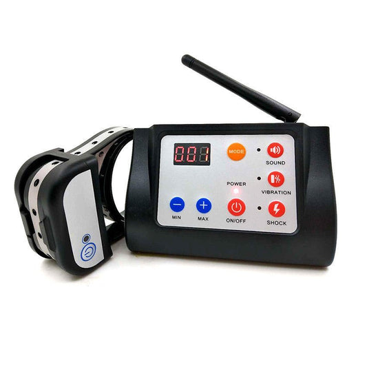 Dispositif de dressage pour chien 2 en 1 - Allomarc.com