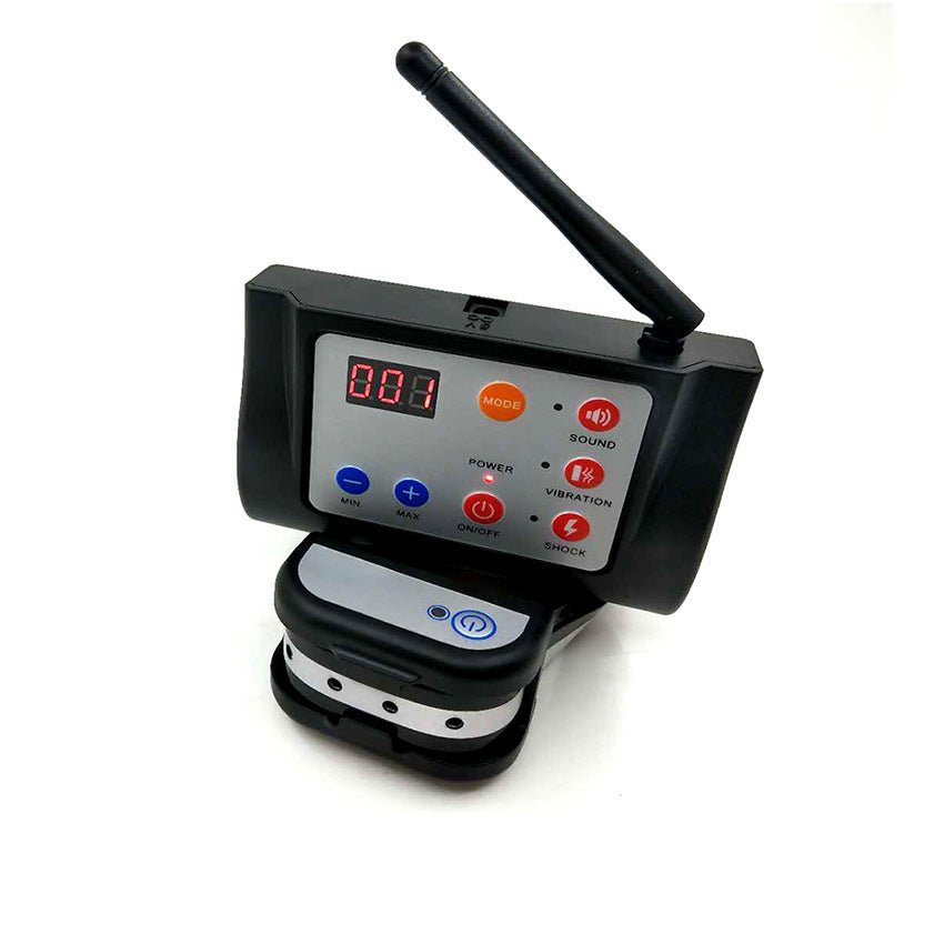 Dispositif de dressage pour chien 2 en 1 - Allomarc.com