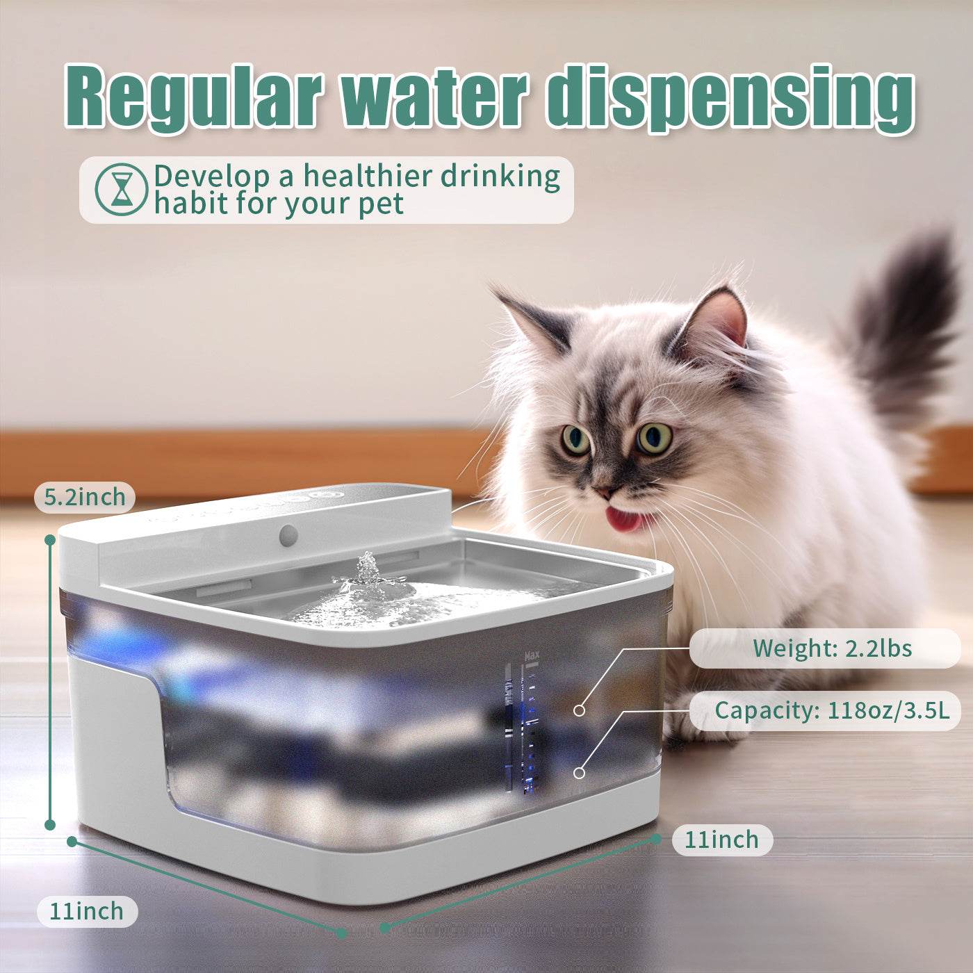 Distributeur d'eau pour animaux de compagnie - Allomarc.com