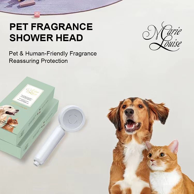 Douche Soin de la Peau - Allomarc.com