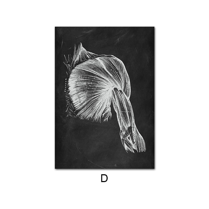 Peinture sur Toile de l'Anatomie Humaine