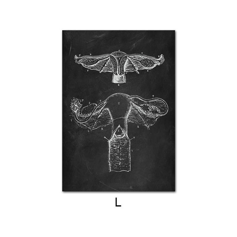 Peinture sur Toile de l'Anatomie Humaine